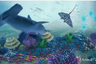 333体育官网下载免费版